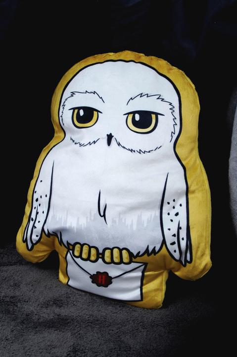 Image du produit Herding Harry Potter "Hibou" coussin de contour (3 x 30 x 40 cm)