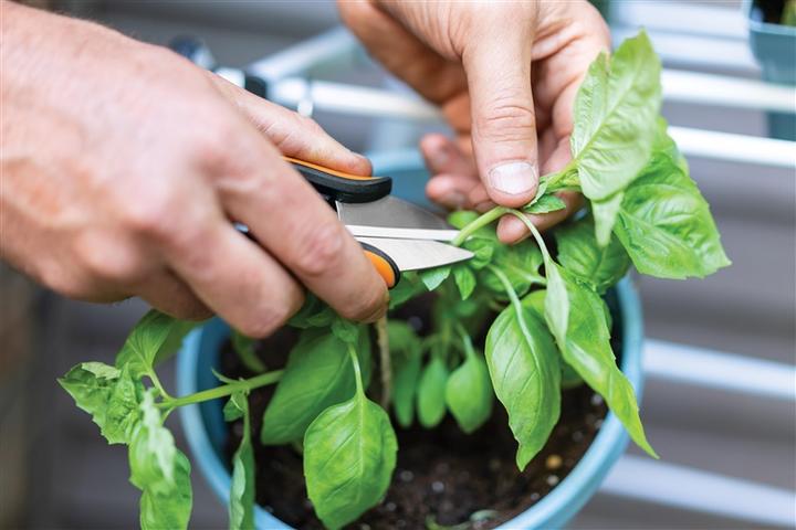 Actual product image Fiskars Herb shears