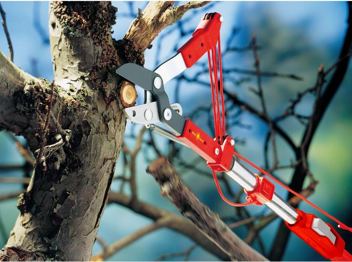 Actual product image Wolf-Garten pruning shears