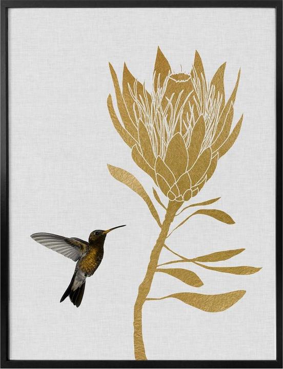 Image du produit Trenddeko Orara Studio - Colibri et fleur - fleur dorée (24 x 30 cm)