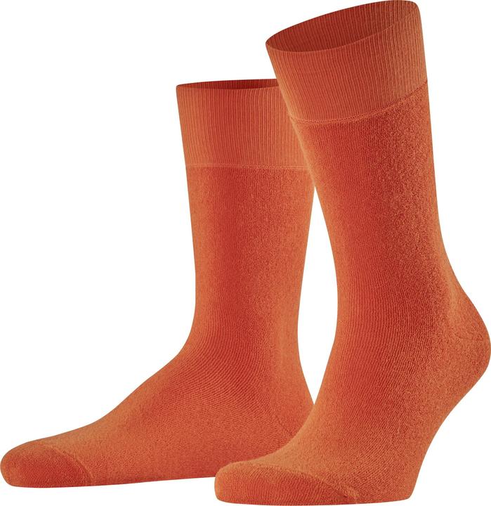 Zucca