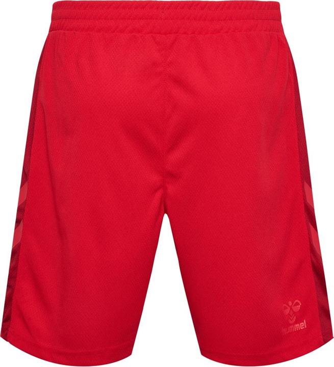 Actual product image hummel Denmark WM Shorts (S)