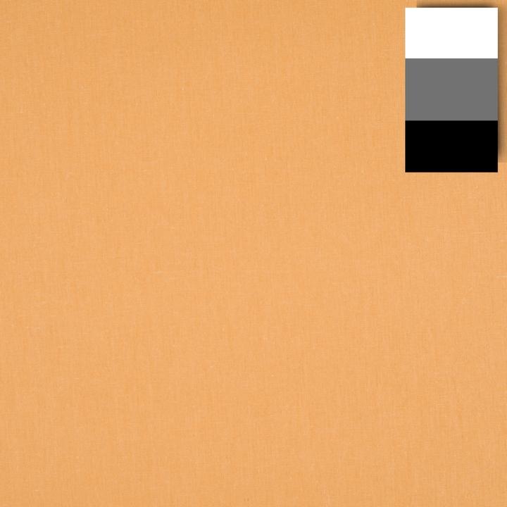 Immagine prodotto Walimex pro Sfondo in tessuto (285 cm, 600 cm)