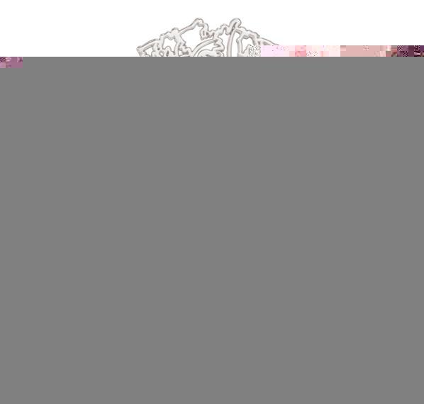 Actual product image Vince Camuto Capri (Eau de parfum, 100 ml)