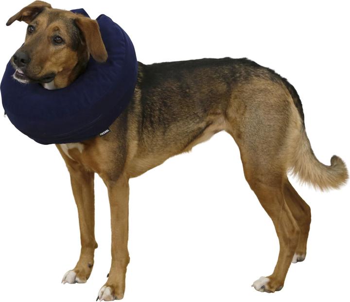 Immagine prodotto Kerbl Collare per cani, collare gonfiabile per cani, 3 gr circonferenza del collo 18-50cm (18-30cm) (Cane)