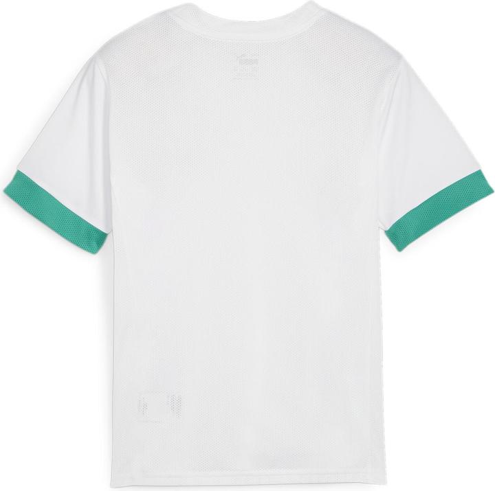 Immagine prodotto Puma Maglia da gara teamGOAL jr (128)