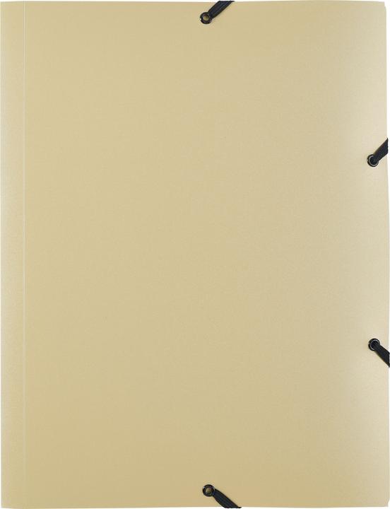Actual product image Kolma Bliss A4 opaque gold elasticated folder (A4, 1 x)