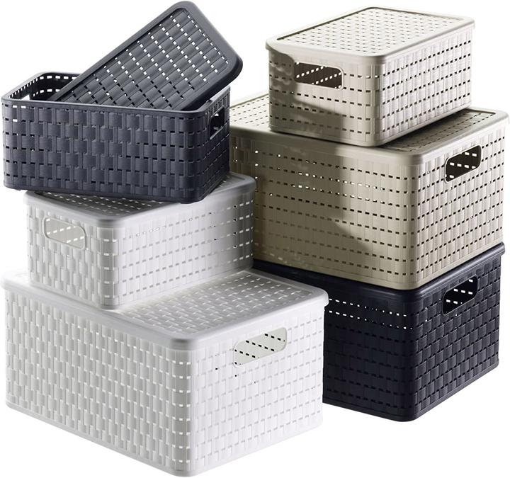 Immagine prodotto Rotho Paese (1 x, 36,8 x 27,8 x 19,1 cm)