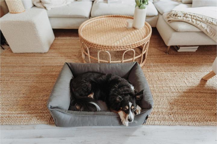 Produktbild Hunter Merida (Hund)