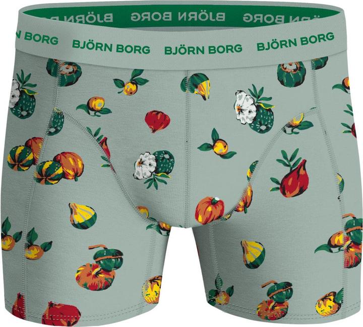 Actual product image Björn Borg Cotton Stretch Boxer 5er Pack - 65527 (XXL, 5-pack)