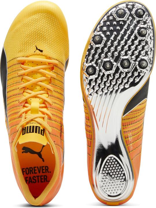 Actual product image Puma evoSPEED BRUSH 6 (47.5)