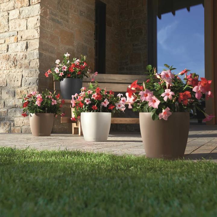 Produktbild Lechuza Classico Color (42 cm)
