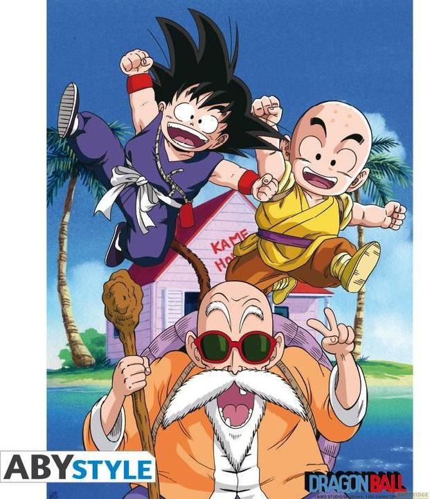 Image du produit ABYstyle Dragon Ball - Kame Team (38 x 52 cm)