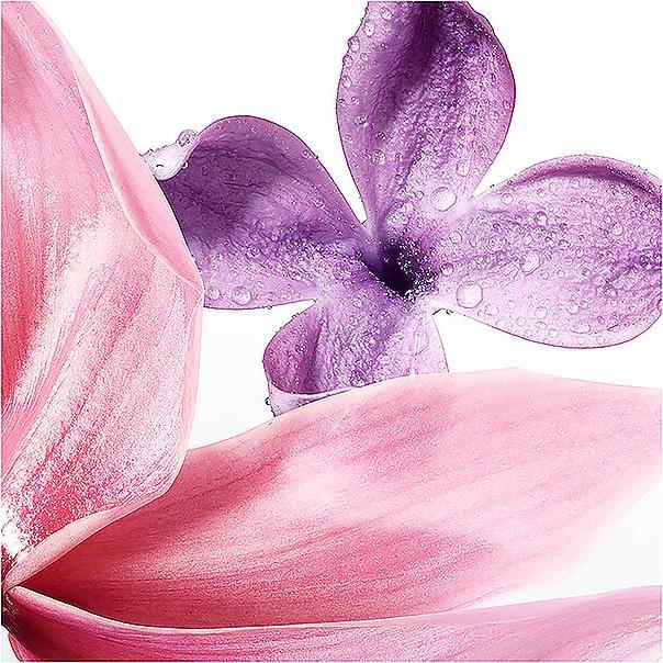 Actual product image Issey Miyake A Drop d'Issey (Eau de parfum, 30 ml)