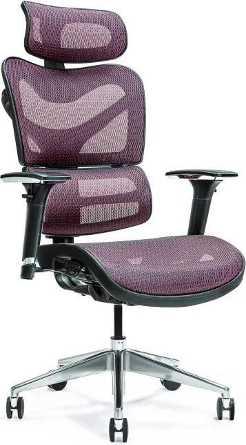 Bemondi Chaise de bureau ergonomique ERGO 600 prune