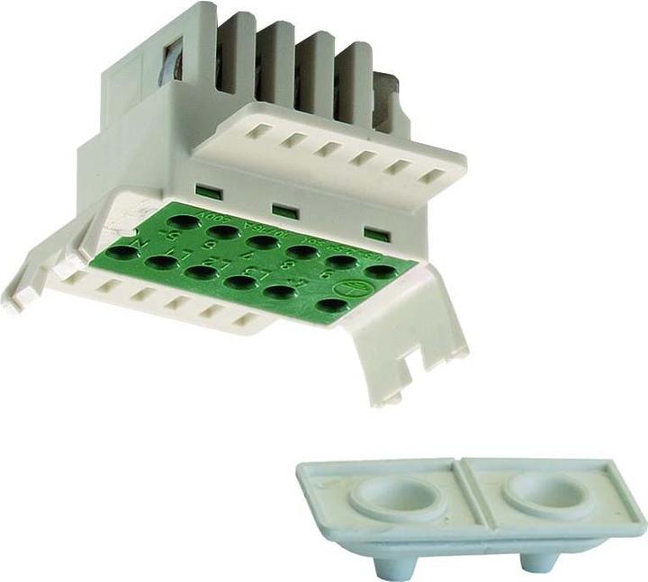 Ridi Grid feed-in