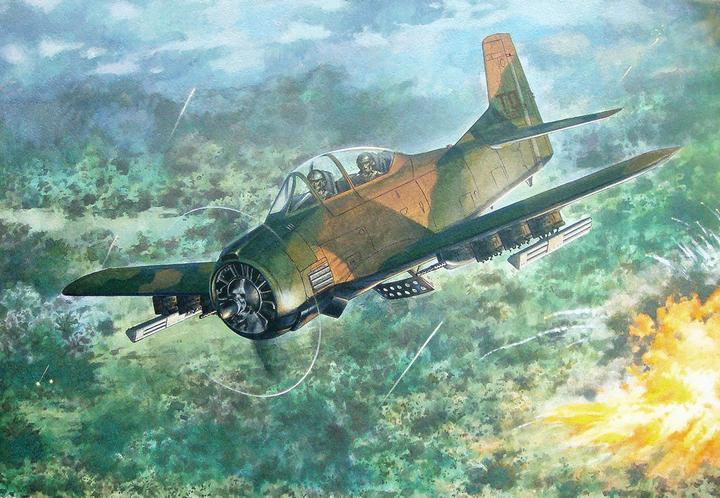 Actual product image Roden North American T-28D Trojan
