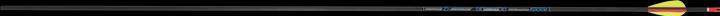 Skylon Archery Radius ID4.2 2000 12er-Pack