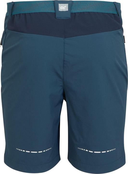 Actual product image Regatta Mens Mountain II Shorts (52 D)