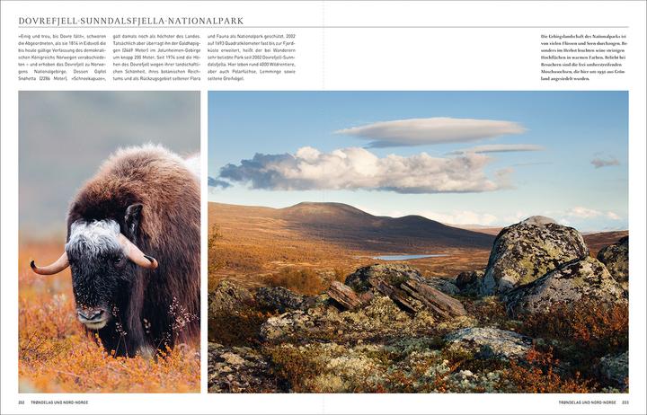 Image du produit Norwegen. Das Buch (Allemand, Maria Guntermann, Dörte Sasse, Andrea Lammert, Melanie Goldman, 2024)