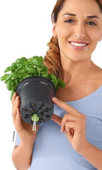 Immagine prodotto Lechuza cubo (14 cm)