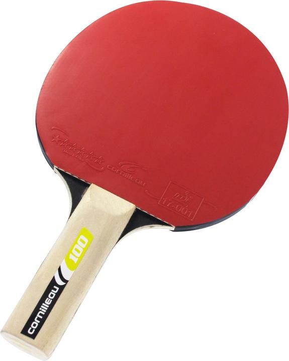 Actual product image Cornilleau Sport 100