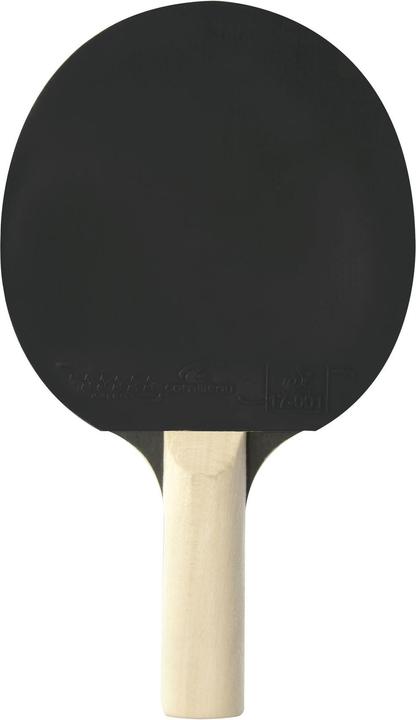 Actual product image Cornilleau Sport 100