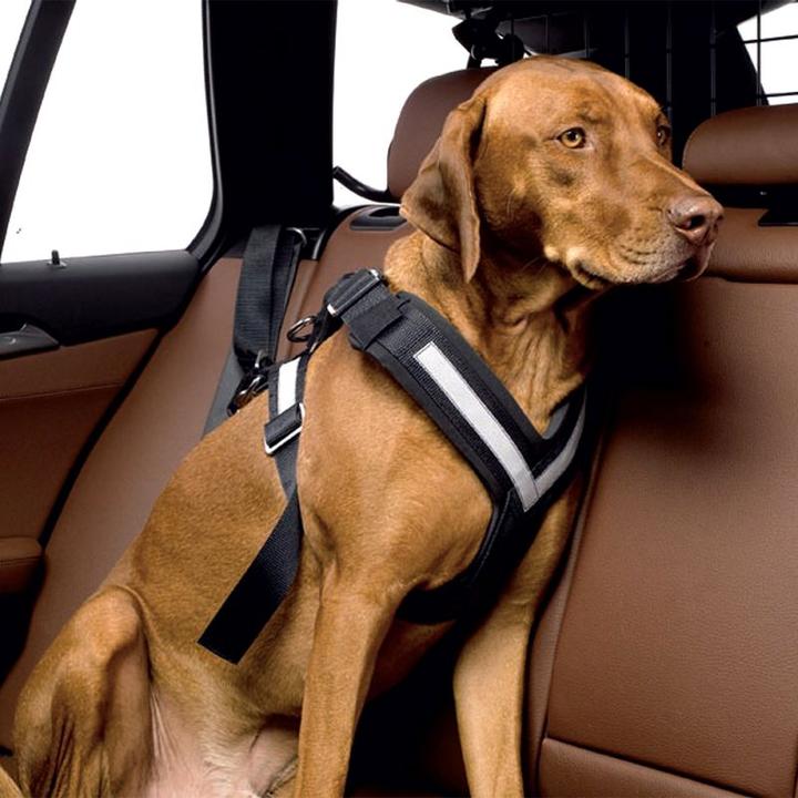 Actual product image Kleinmetall Allsafe dogs safety belt (M, Dog, Work, Dog sport, Jogging, Walks)