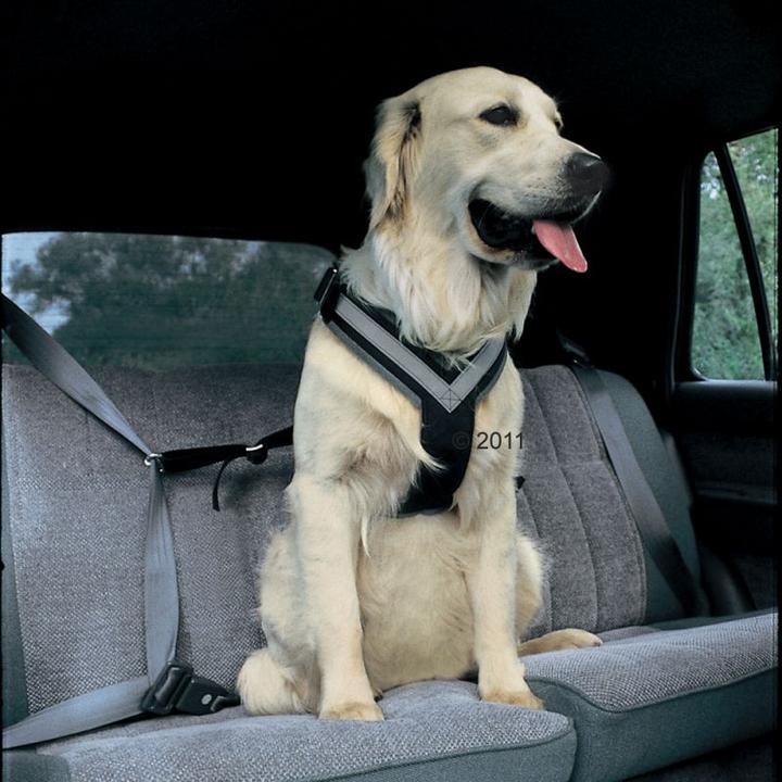 Actual product image Kleinmetall Allsafe dogs safety belt (M, Dog, Work, Dog sport, Jogging, Walks)