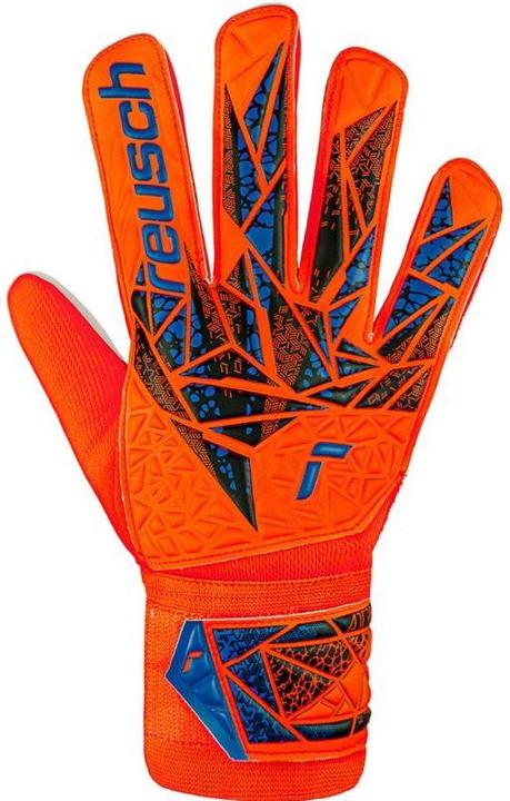 Produktbild Reusch Attrakt Starter Solid Torwarthandschuhe (7.5)