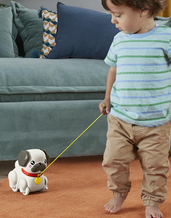 Produktbild Fisher-Price Spiel & Zieh Mops