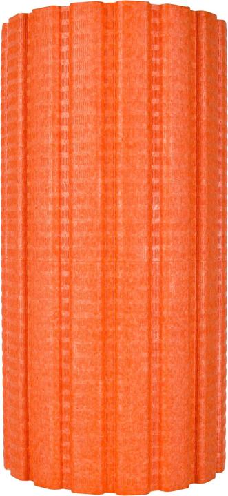 Actual product image Blackroll Groove Pro
