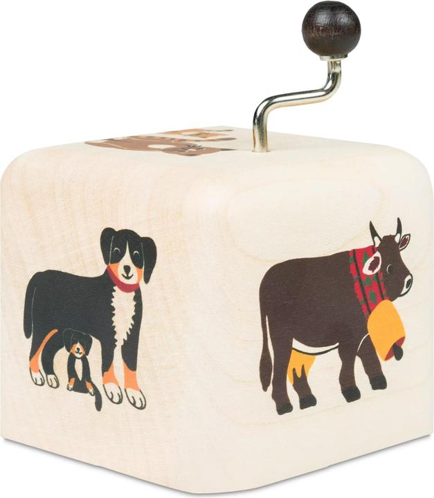 Actual product image Musical Instrument Sound Cube Pets