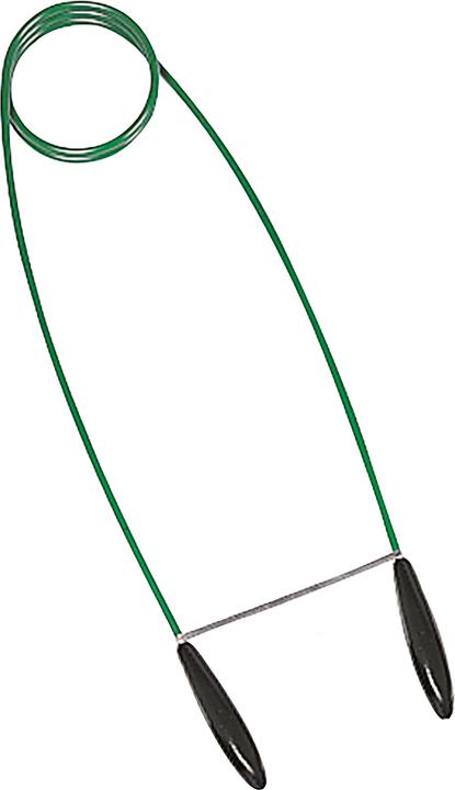 Vert