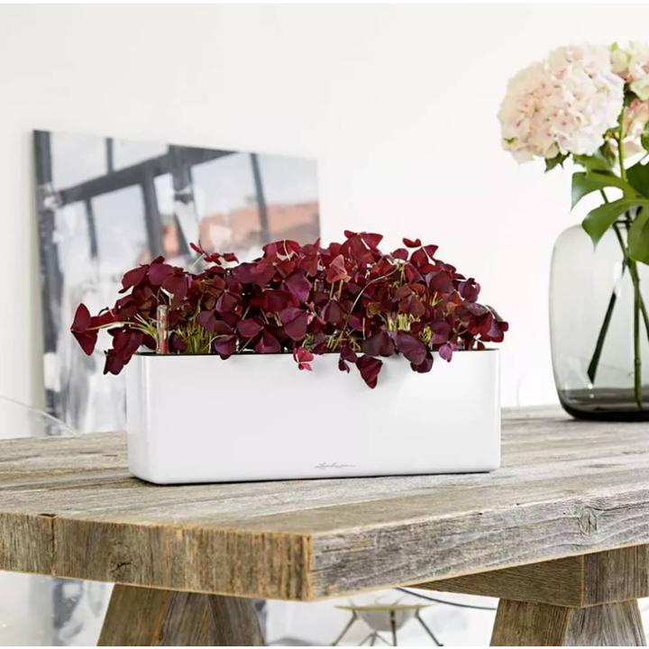 Produktbild Lechuza Cube Glossy Triple (14 cm)