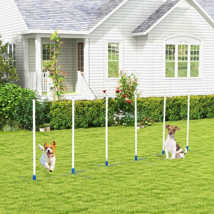 Produktbild PawHut Hundetrainigsset inkl. Tasche (Agility)