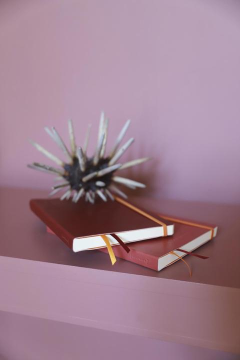 Produktbild Rhodia Goalbook Softcover (A5, Kariert, Harter Einband)