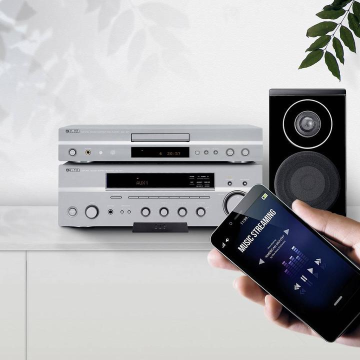 Actual product image Marmitek BoomBoom 100 (Transmitter & Receiver)