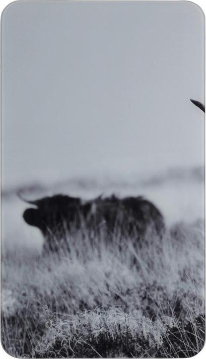 Actual product image Wenko Cooker cover plates Highland Cattle black 2 pcs.