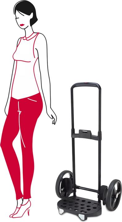 Actual product image reisenthel Citycruiser Rack