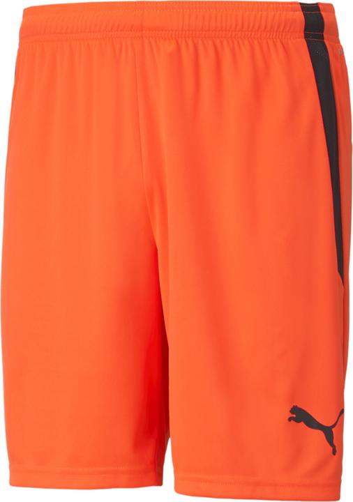 Actual product image Puma teamLIGA Shorts-704924 (M)