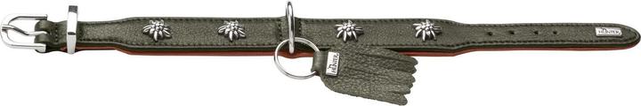 Actual product image Hunter Collar Munich 55/M, cowhide, green/cognac, neck circumference (Dog, General)