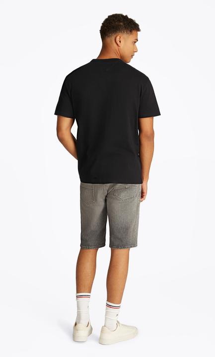 Actual product image Tommy Jeans Tjm Reg Badge Tee Ext (M)