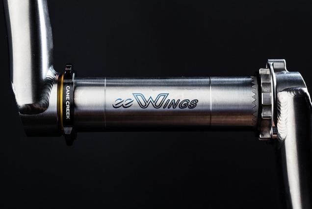 Actual product image Cane Creek eeWings (170 mm)