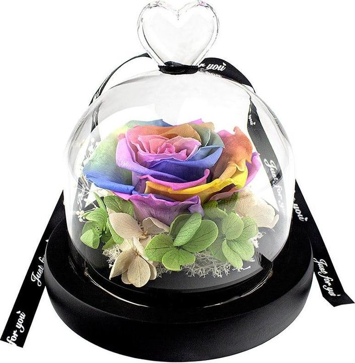Image du produit JTI Petite rose sous cloche - Couleurs arc-en-ciel (15 cm)