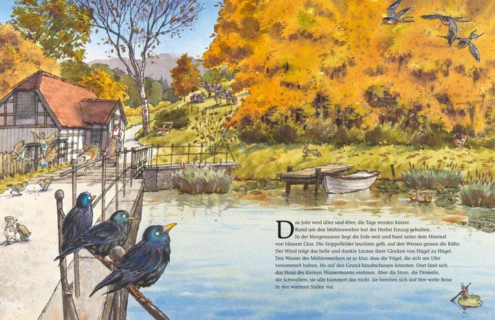 Immagine prodotto Der kleine Wassermann. Herbst im Mühlenweiher (Tedesco, Preusslatore Otfried, Stigloher Regina, Daniel Napp, 2014)