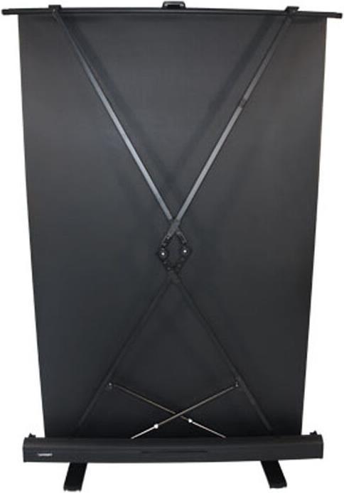 Actual product image Celexon Ultramobil Plus Professional (108", 1:1)