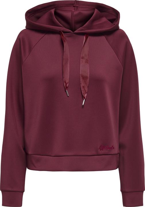 Only ONLLUE Sweatshirt Kapuzenpullover
