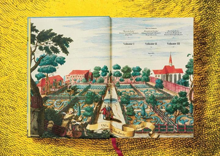 Image du produit J. C. Volkamer. The Book of Citrus Fruits (Allemand, Français, Anglais, Iris Lauterbach, 2020)