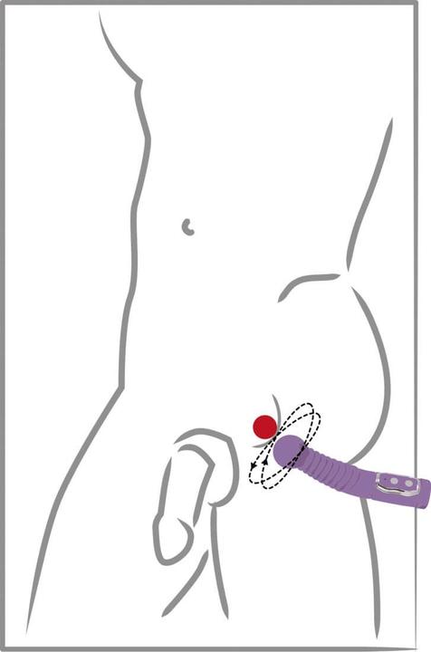 Actual product image You2Toys Prostate Twister